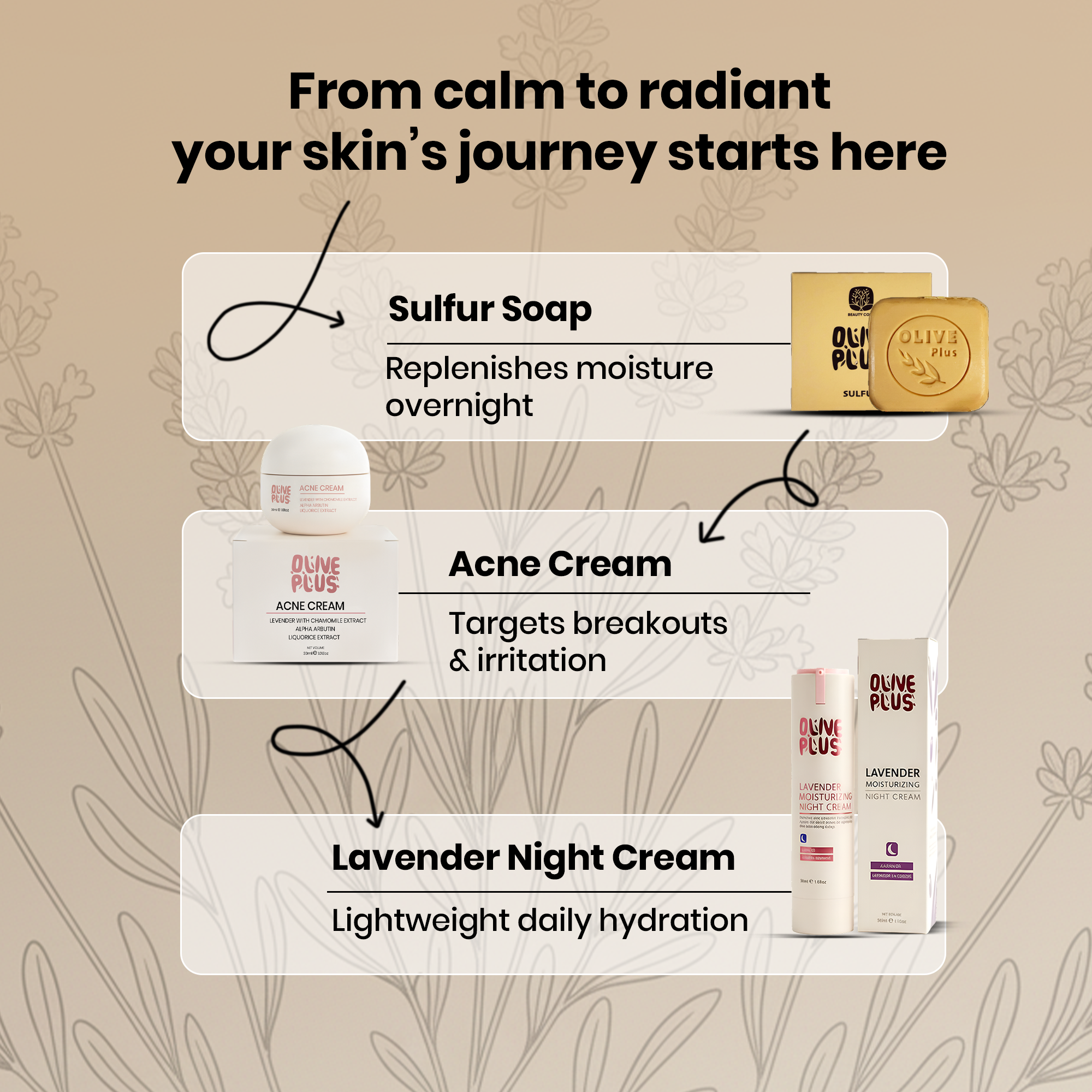 Olive Oil Skincare Products | Skincare Products | Olive Plus Shop