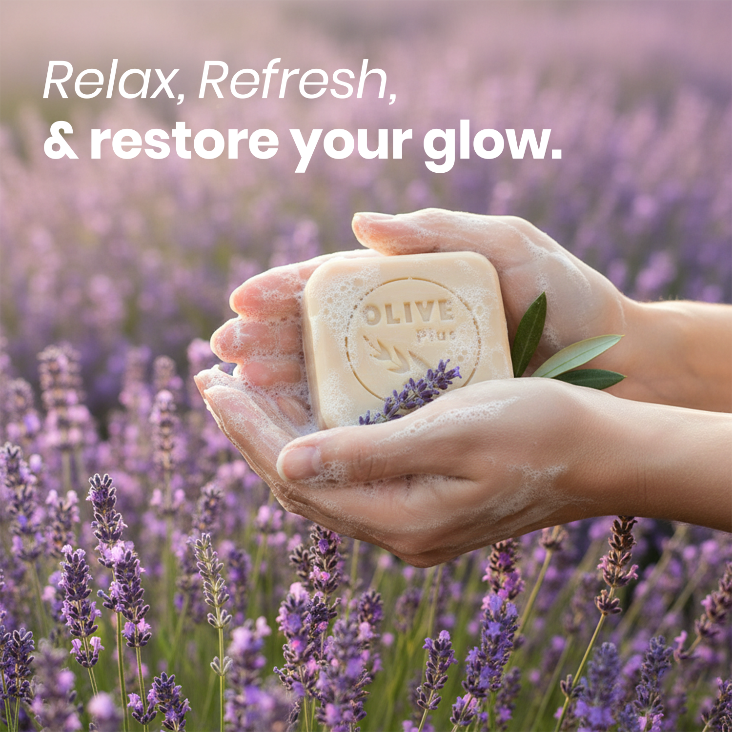 Lavender &amp; Castor Oil Soap | Vegan Soap | Olive Plus Shop