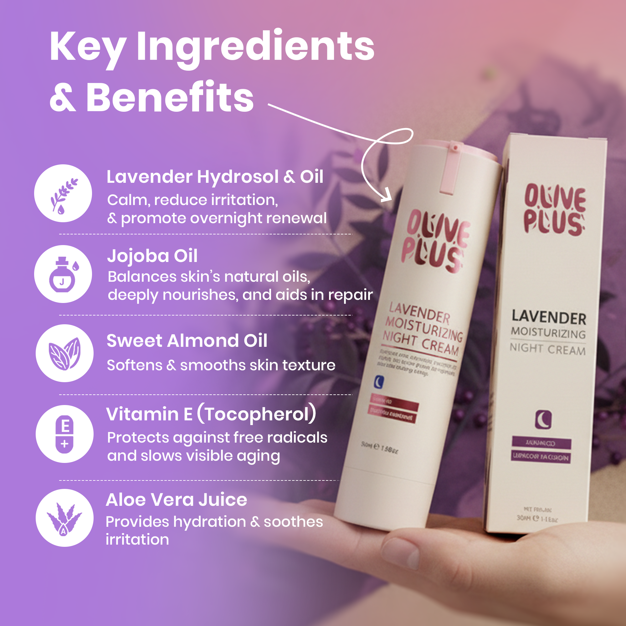 Lavender Moisturizing Cream | Lavender Night Cream | Olive Plus Shop